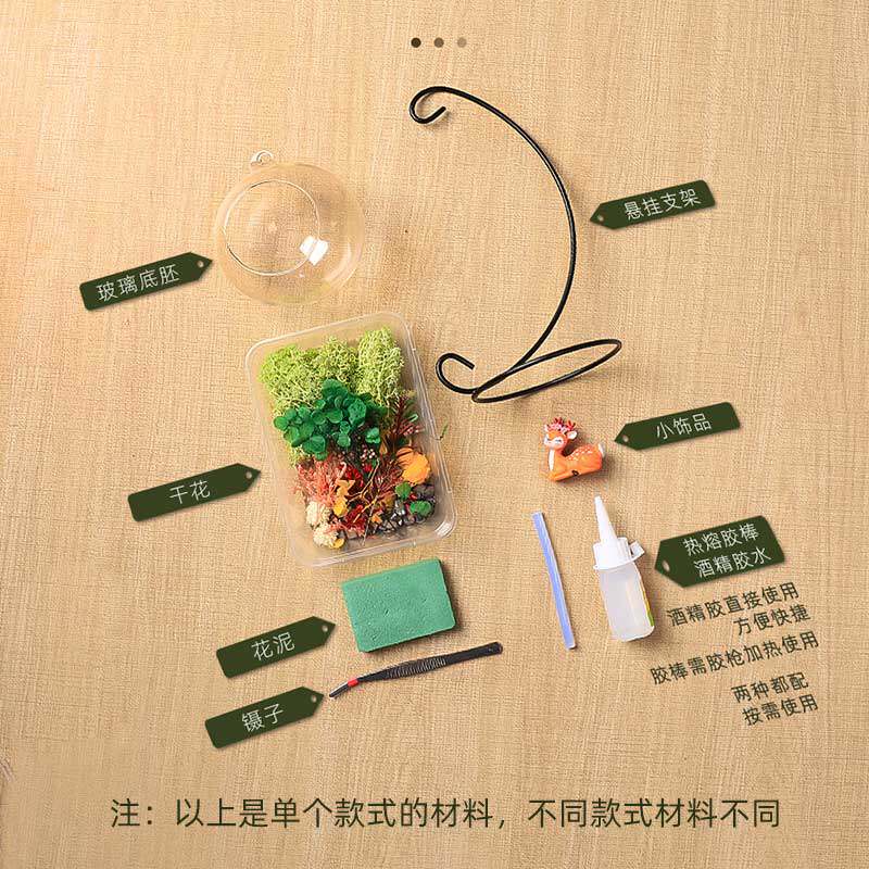 苔藓微景观diy材料包暖场活动创意玻璃球生态瓶悬挂摆件永生花diy