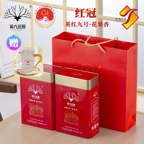 英九庄园英红九号花果香红茶500g