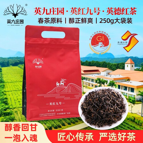 英九庄园英红九号红茶春茶新茶