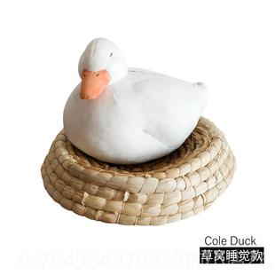 正品柯尔玩偶摆件公鸭生日仔礼物小女生七夕送女友给朋友闺蜜儿童