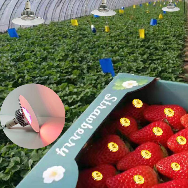 36W全光谱仿太阳光LED室内花卉多肉植物生长补光灯