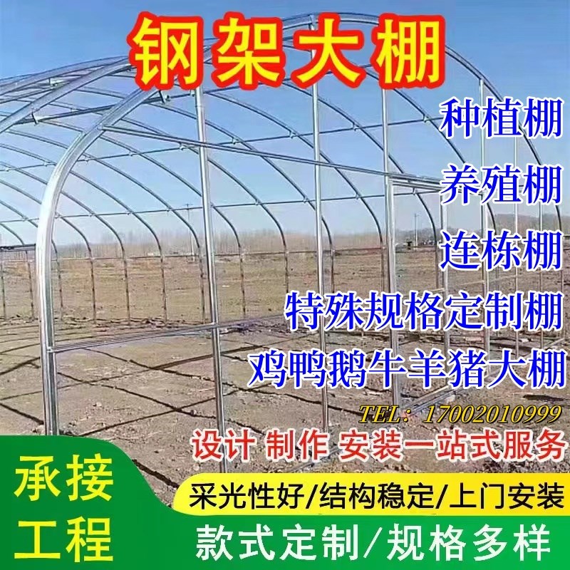 镀锌管大棚钢管骨架椭圆管种植多肉蔬菜养猪养羊大棚钢架温室养殖