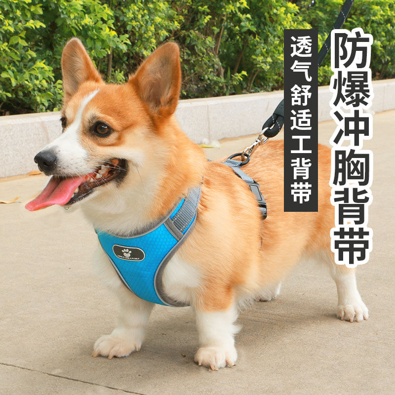 狗狗胸背带牵引绳背心式背带防爆冲中型犬宠物用品柯基项圈小型犬