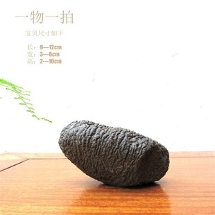 原石天然戈壁奇石泥石风凌石整体随形摆件造景自然原生态文玩收藏