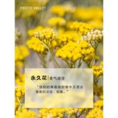 高档汇诗永久花精护油单一精油纯植美精物油面部肤身体按摩香薰精