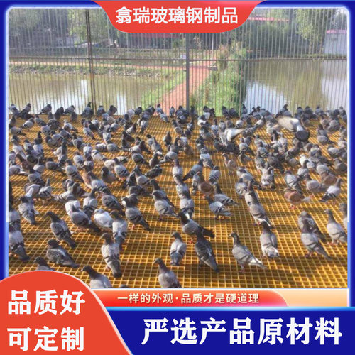 玻璃纤维鸽舍地网网格格栅板家用鸭舍赛鸽养殖漏粪地格栅鸽棚
