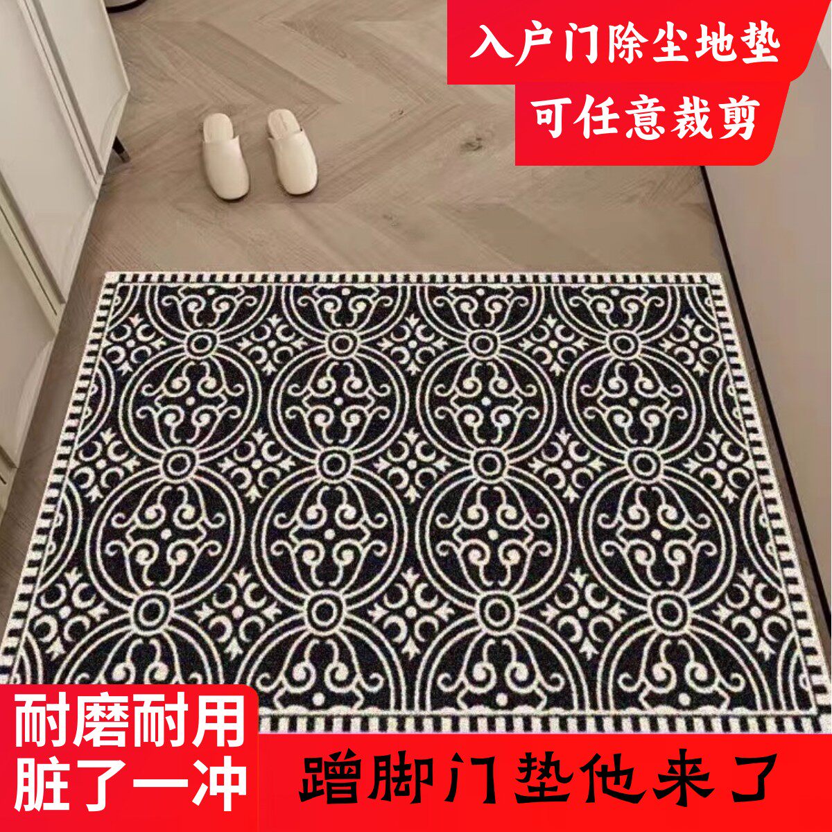 入户进门除尘丝圈地垫大门口蹭脚刮泥加厚防滑门垫玄关地毯可裁剪