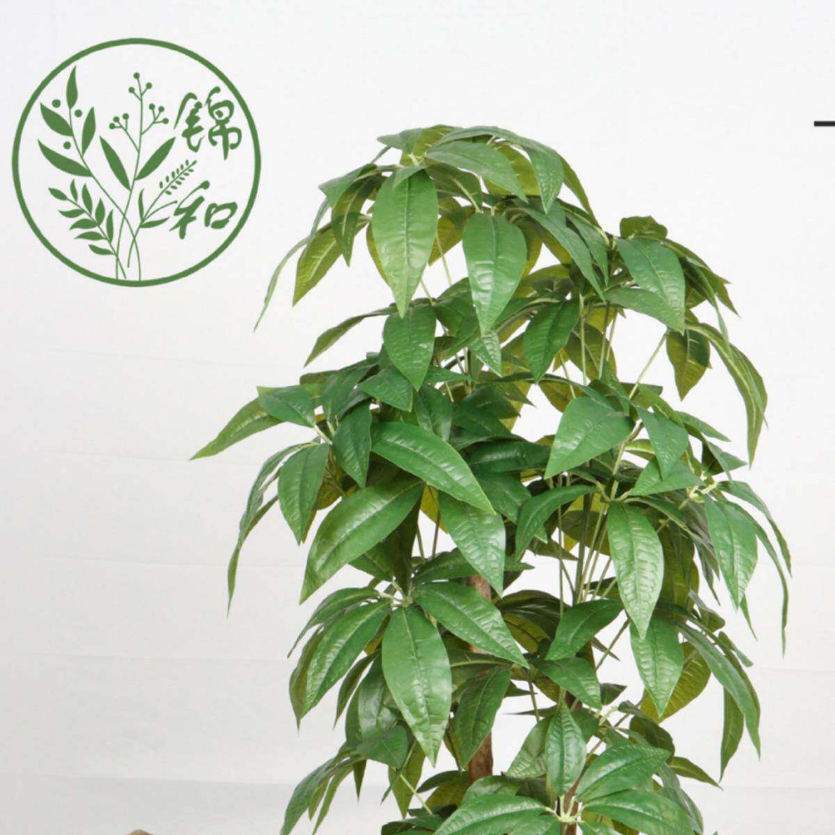 仿无品牌/真发财树塑胶叶真树杆植物落地栽盆内树客厅室花盆装饰
