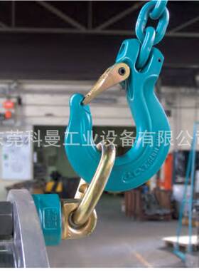德国原装进口TP-S焊接型JDT吊环TAPS系列 焊接式吊点吊环索具