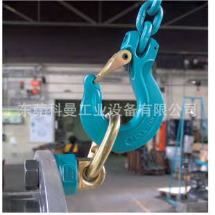 德国原装进口TP-S焊接型JDT吊环TAPS系列 焊接式吊点吊环索具