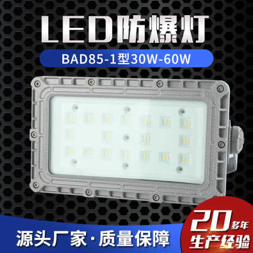 LED防爆灯BAD85-1型30W-60W防爆路灯防爆泛光灯照明防爆投光灯