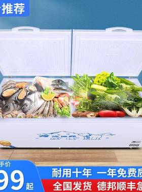 冰柜冷能藏冻商用链冷大容量单温冷双温卧式铜管保鲜节电冰箱KEK