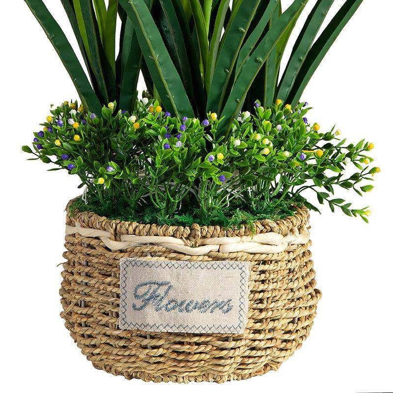 蝴蝶兰真花花大盆景套BEF盆装假花兰花栽客厅餐桌摆件室内装饰仿