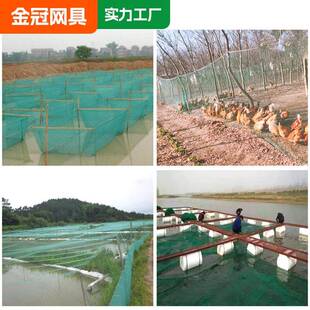海参养殖箱网产鱼类防逃网养TFQ殖水网拦河围网聚乙烯深养殖海网