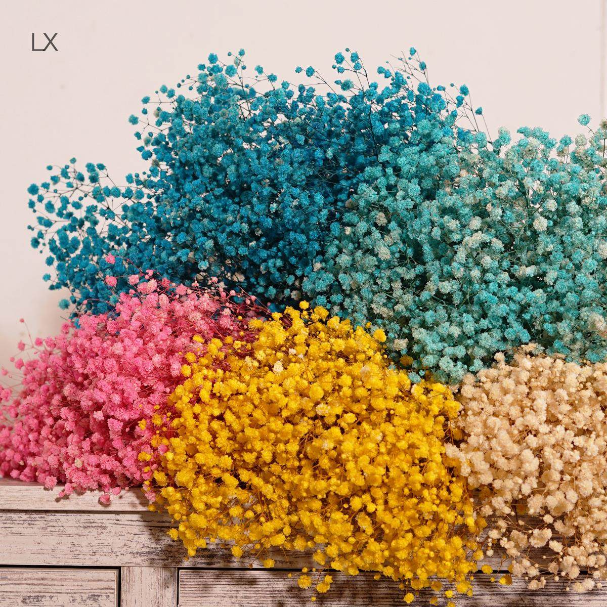 满天星永生花120g云南厂家满天星永生花干花花束礼盒花束配材定制,家居饰品,干花/花瓣/干花包/干树枝,淘宝优惠券,粉丝福利购,淘宝优惠卷