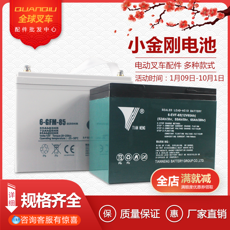 中力小金刚电动叉车配件电瓶蓄电池12V30A65A85A天能电池大地牛