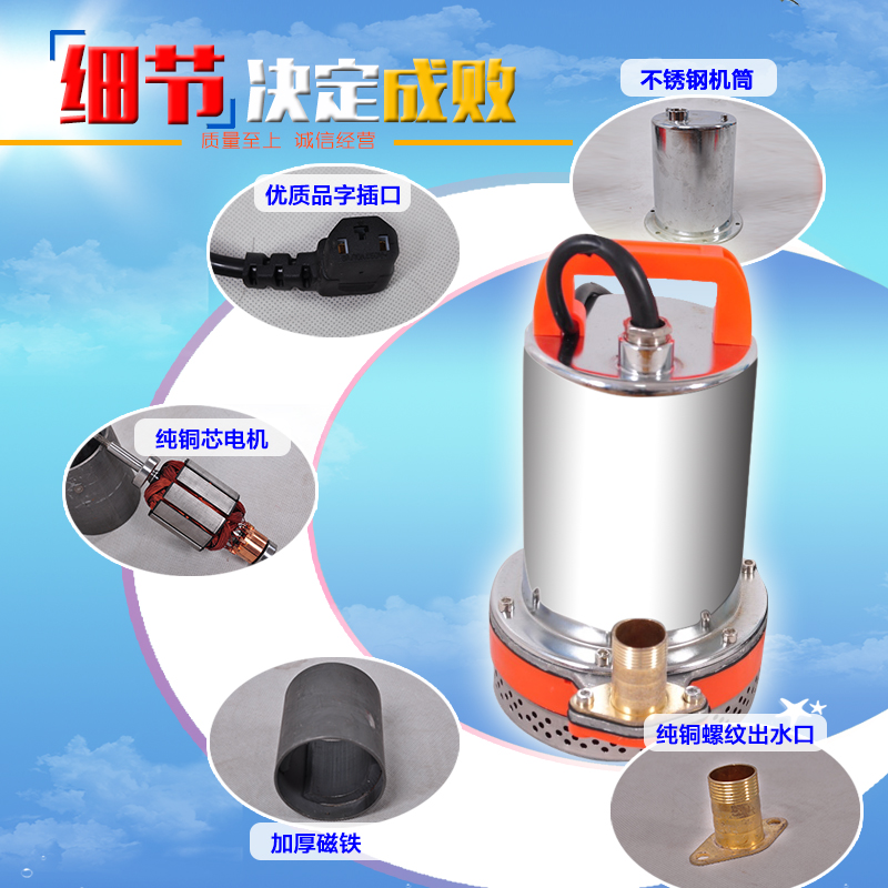 充电泵直流泵电瓶泵12V24V48V600V72V高扬程潜水泵电动车抽水泵