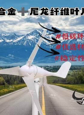 户家风力永100W12V+发电机发电小型12v2外4v风光风用能互补照磁明