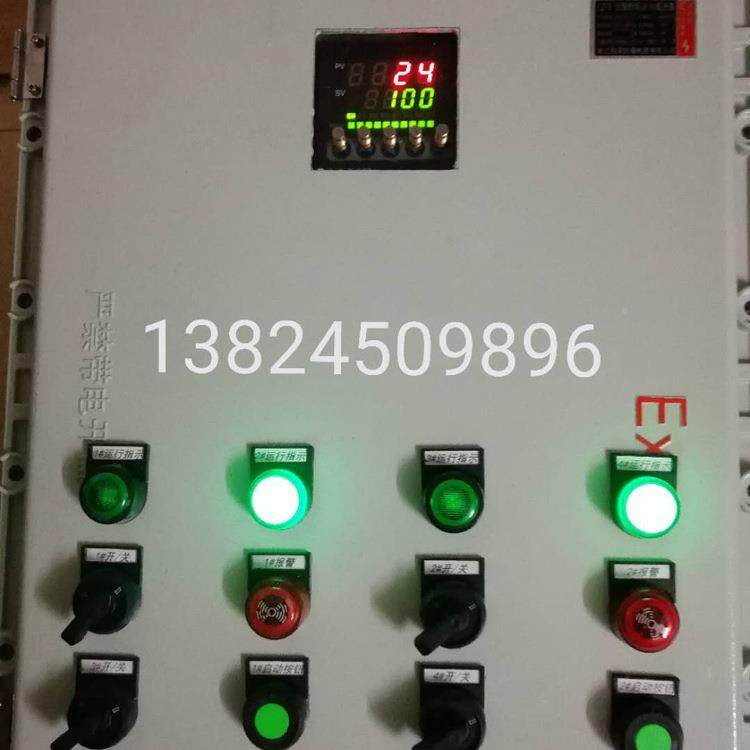 IES2OJD58-5/W施能烧器嘴点火FS258-5/W自动点火控制I箱配电柜