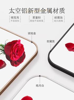 穿衣镜CGT打孔壁挂免镜子贴墙自粘宿舍落地试镜衣卧室家用墙全身