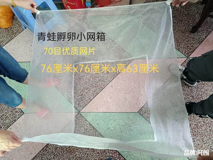 青蛙牛蛙田鸡养殖专用网箱孵卵加密网70目80目100目