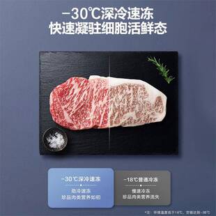 星星冰柜180升家用商用冷柜风冷无霜-30度冷藏冷冻柜单温卧式冰箱