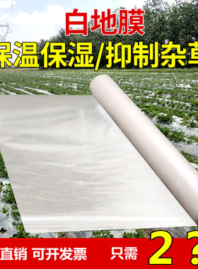 白色地膜保温保湿白地膜农用蔬菜大棚塑料薄膜过冬小拱棚膜工程膜