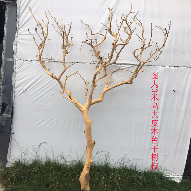 新款去皮干树枝装饰枯树造型落地摆件室内干枝创意婚庆橱窗道具树