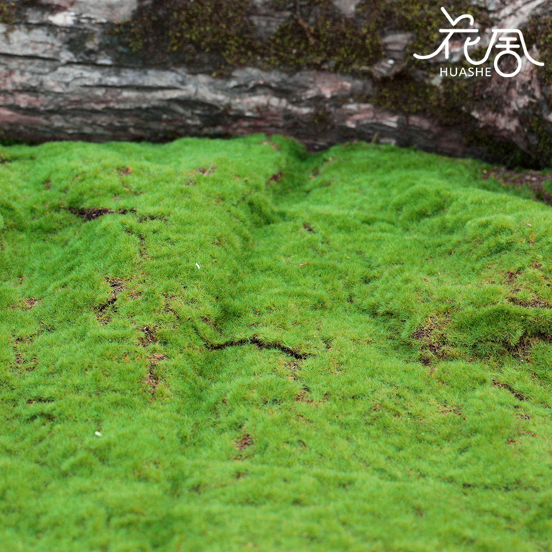 花舍优质仿真绿植草皮微景观草坪场景橱窗假苔藓青苔包造景装