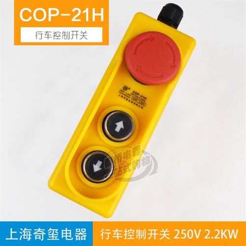 COP21H行车按钮开关吊车开关 起重按钮 升降按钮 上下开关 电葫芦