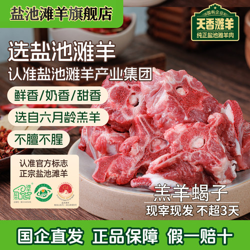 盐池滩羊集团国企直营旗舰店