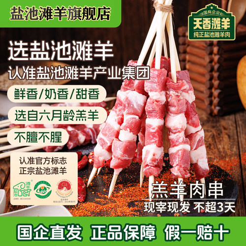 盐池滩羊羊肉串新鲜户外烧烤20串