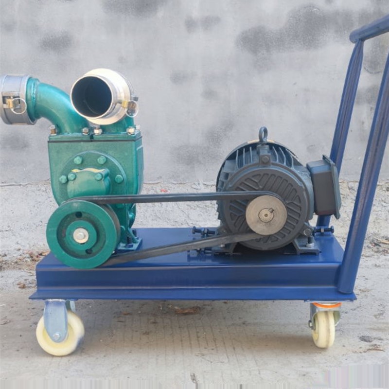 养殖场强力抽粪泵化粪池污水吸粪泵鱼塘清淤煤渣吸污泵