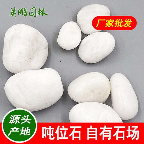 别墅庭院彩色鹅卵石 园林景观装饰五彩抛光白色雨花石