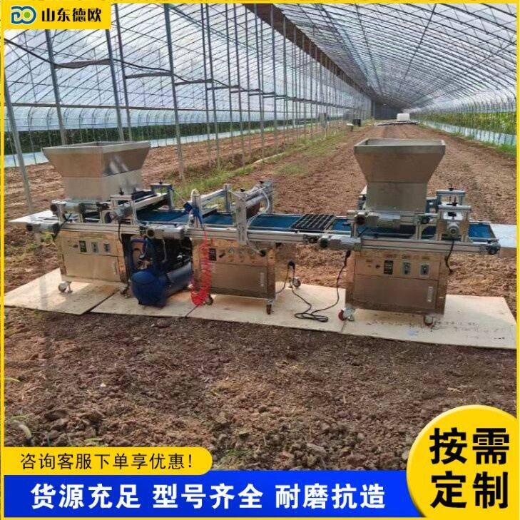 针吸式装土压穴点播机自动穴盘育苗播种机蔬菜花卉点籽育苗机