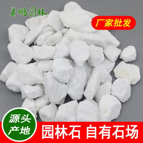 工程铺路碎石子英鹏园林透水胶粘石 普宁纯白色水洗石石子供应