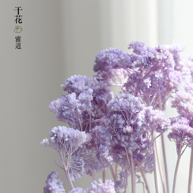 陌上雪干花花束大香菊花室内客厅装饰摆件插花花材拍摄道具粉色花