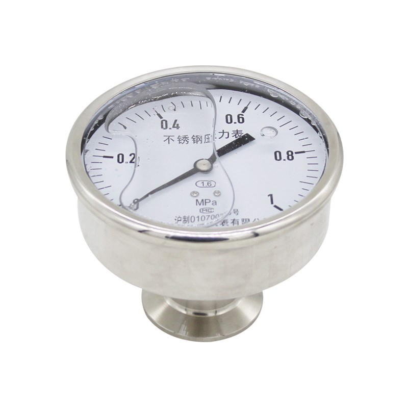 上海笠聚 YN100BF-Z-MC 轴向不锈钢卫生型隔膜压力表 1MP 快装表