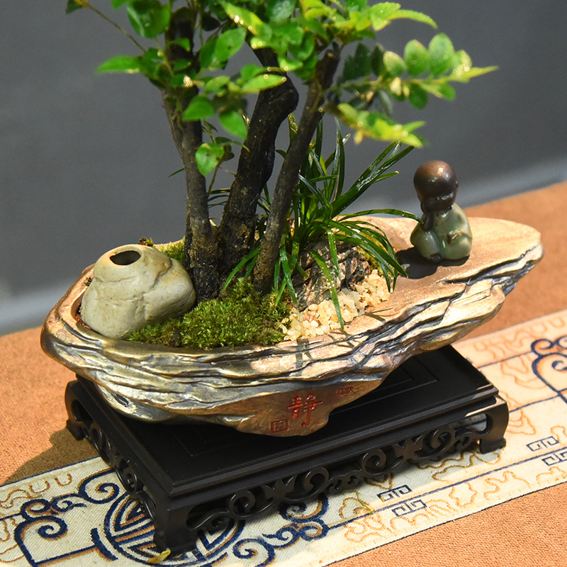 小叶紫檀盆景中式绿植盆栽室内办公室桌面植物老桩四季好养活礼品