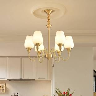 复美式 古高端卧间室灯奶油帽餐厅 全铜衣客厅739吊灯简约大气法式