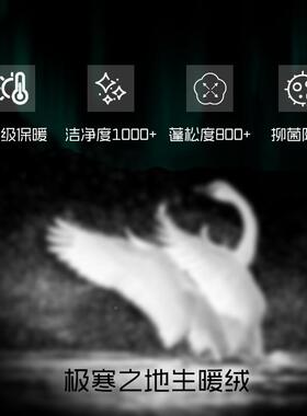 厚全棉95利羽绒被HHD芯冬被鹅静音绒被匈牙鹅加绒春秋羽绒被厂家