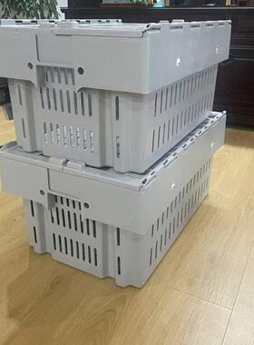 海鲜养转殖箱螃蟹龙虾龙周澳转筐斜插式带盖灰色ZZQ水产中箱