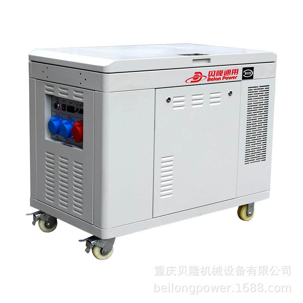 双1料发电机10kw/11kw双缸10kw/5千瓦小燃型双静缸音双燃料发电机组