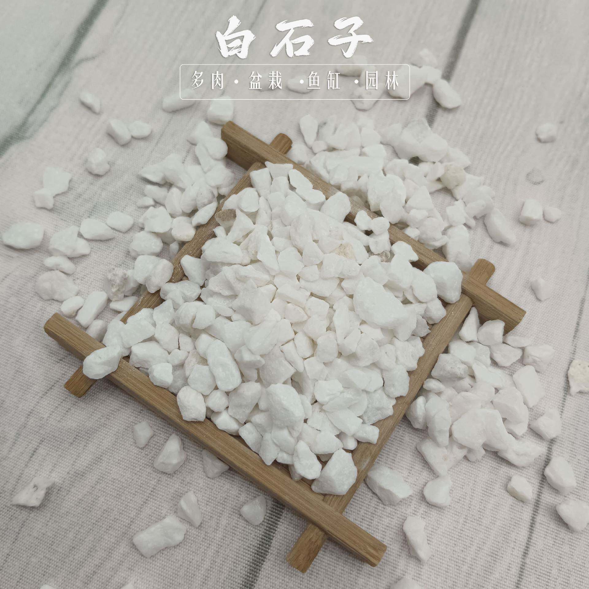 水白色鹅卵石厂家园林艺盆栽铺面白石子园626枯山景白色石子白石