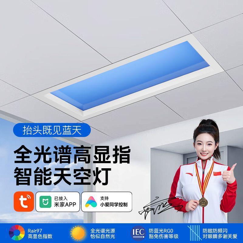 嵌入式天晴空玄关厨房卫生灯间天空灯智能集成724顶灯然青光自光