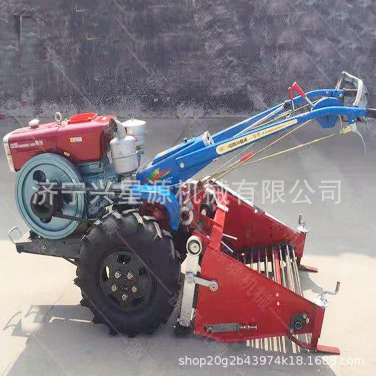 农用刨红薯机器 破皮率低 震动手扶式土豆收获机 小型挖土豆机器