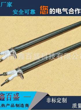 高品质单头发热管热不锈管钢干烧加棒高温发加热精密模LNE具热管