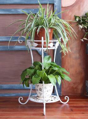 欧式铁艺地白色花架子落绿萝花花盆架LKZ客厅台卧室阳简约两层架