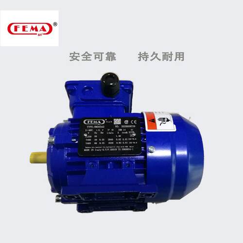 FEMA三相电机RMS7134IP55F级绝缘B级温升S1工作制1E1标准耐用