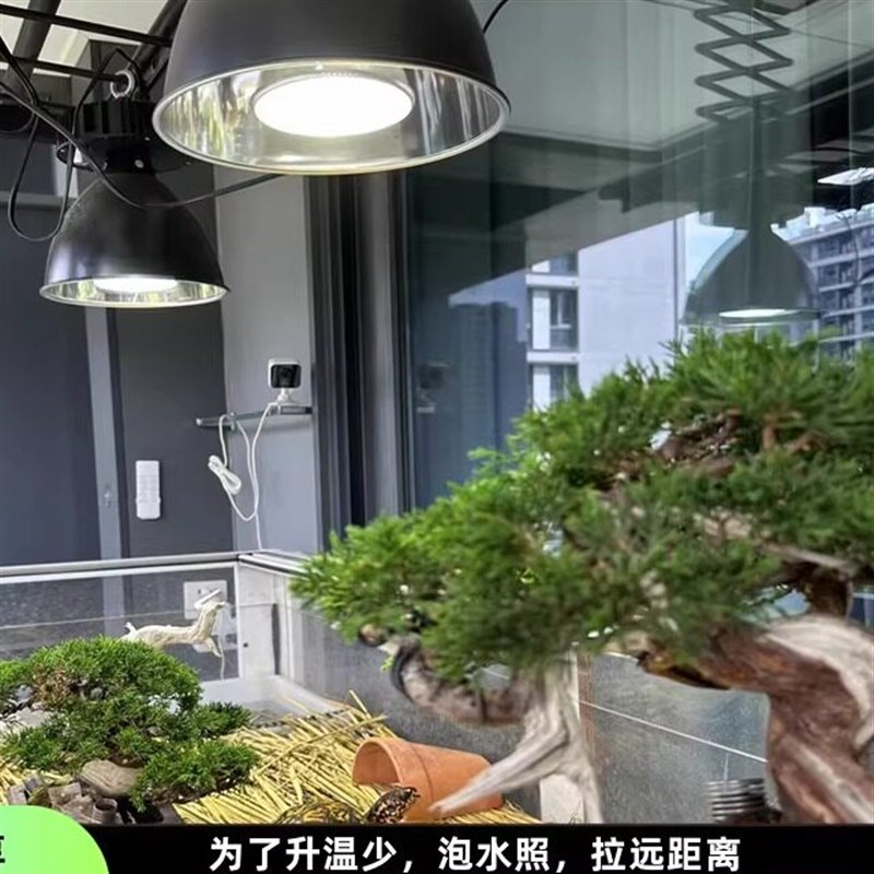 uv补钙灯爬宠全光谱金卤灯35W到70W加强版UVB/uva龟场上色晒背灯